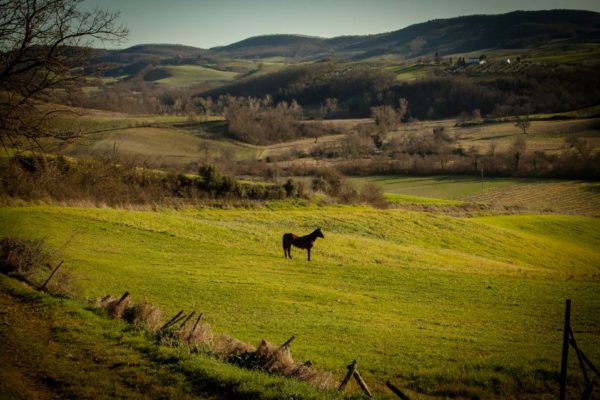 sostenibilità sito galleria (2)