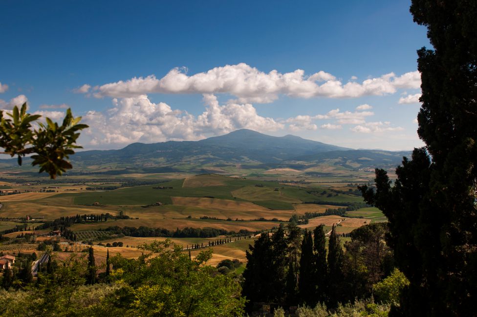 La storia de Il Fiorino: le origini