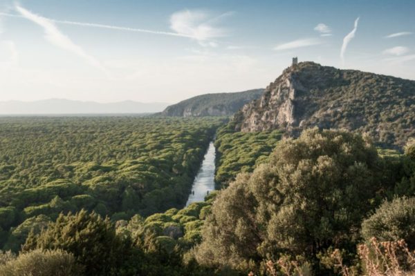 uccellina_martin zangerl on unsplash