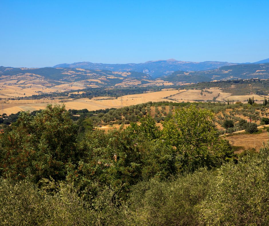 Viaggio in Maremma nelle terre del Fiorino