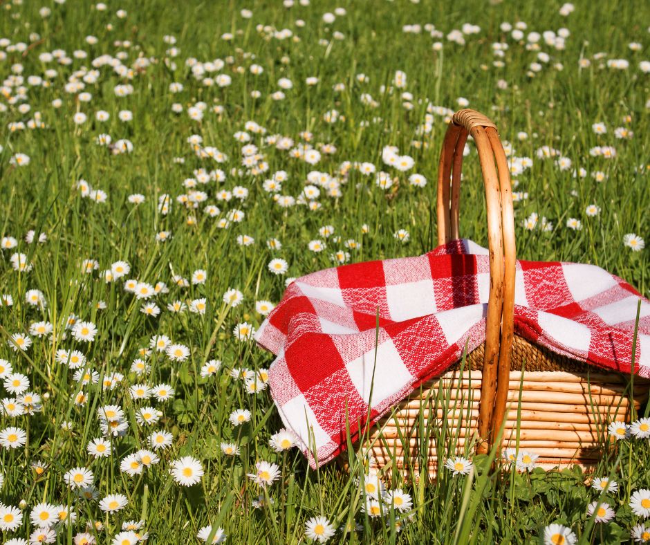 Quattro panini gourmet per un picnic perfetto