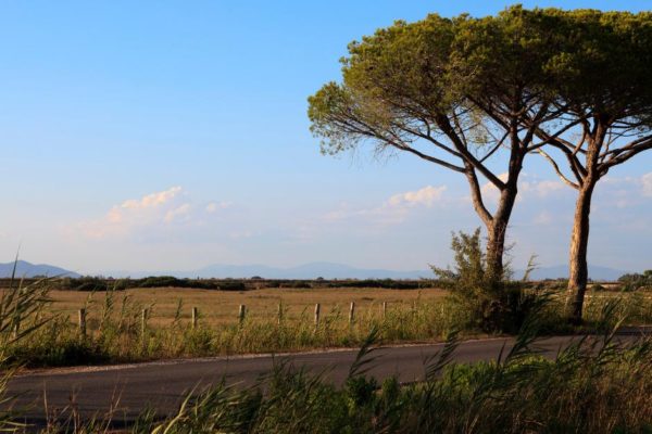 Grosseto Alberese Maremma