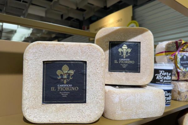 taste archivio 2025 (1)